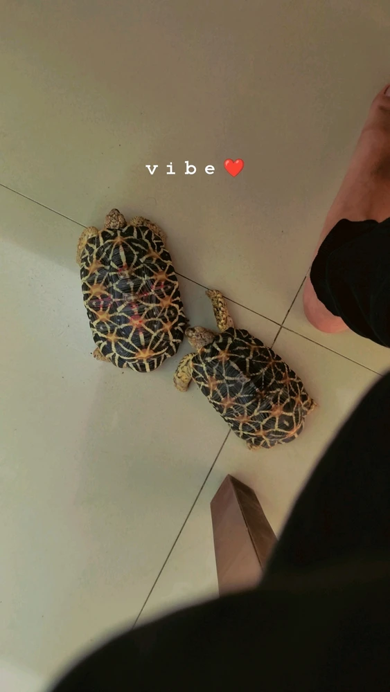 GIF uploaded by Suraj Shaw