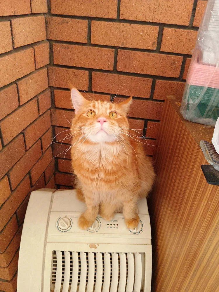 GIF uploaded by JJ