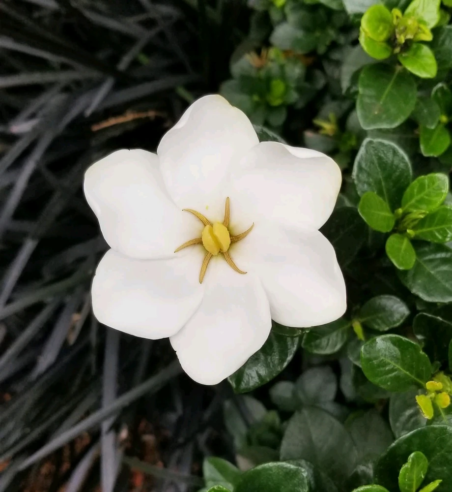 GIF uploaded by Eb