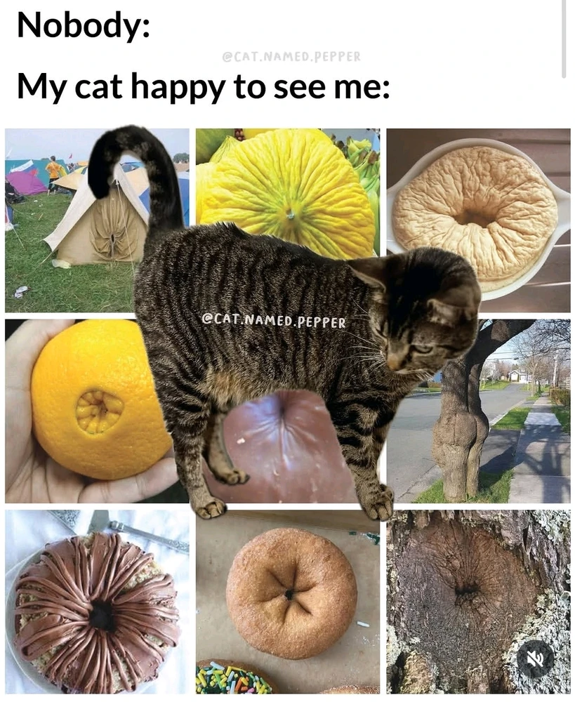GIF uploaded by Pho Qing Mei Taji 🤣