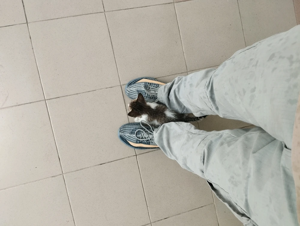 GIF uploaded by FATHE