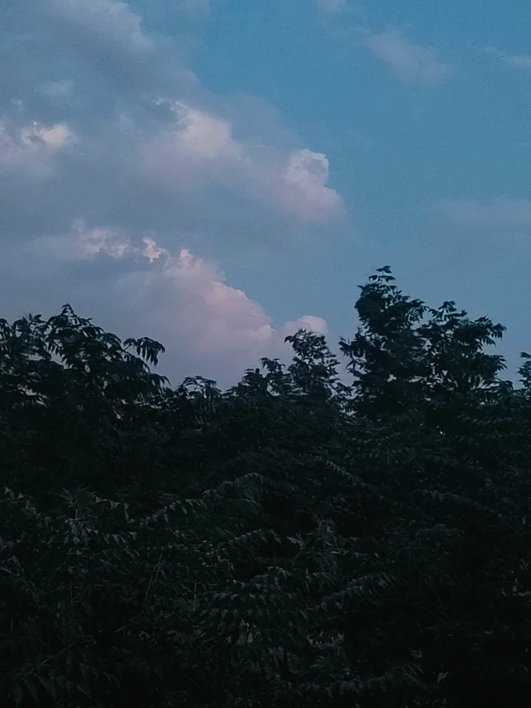 GIF na in-upload ni Ansh