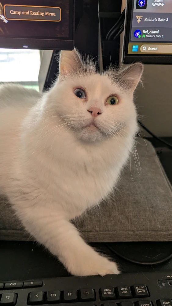 GIF uploaded by Nyx