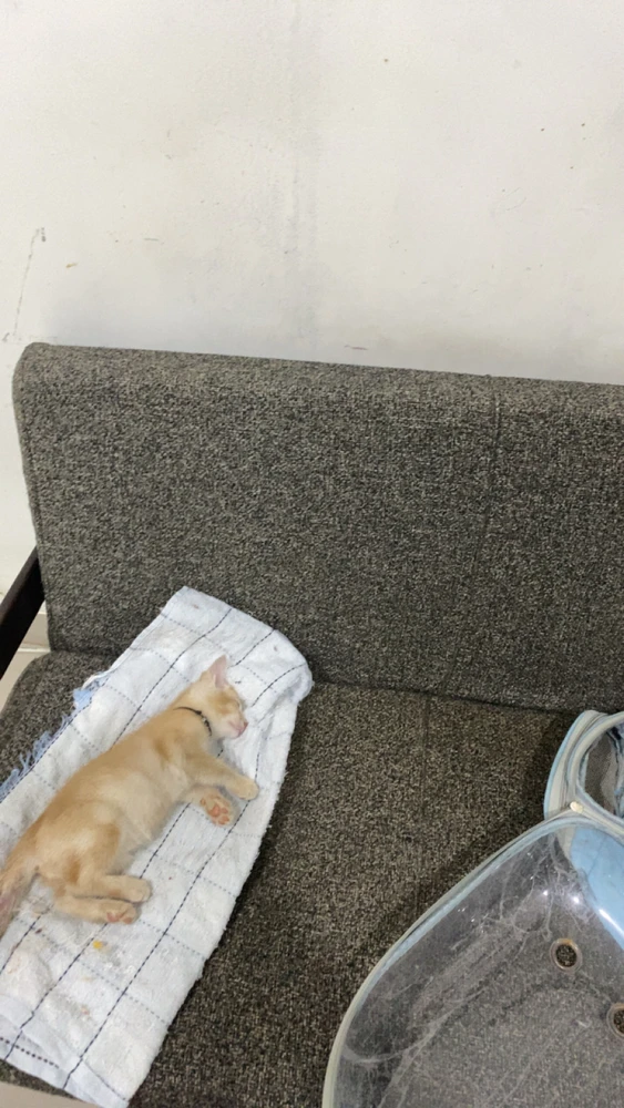 GIF uploaded by zaza