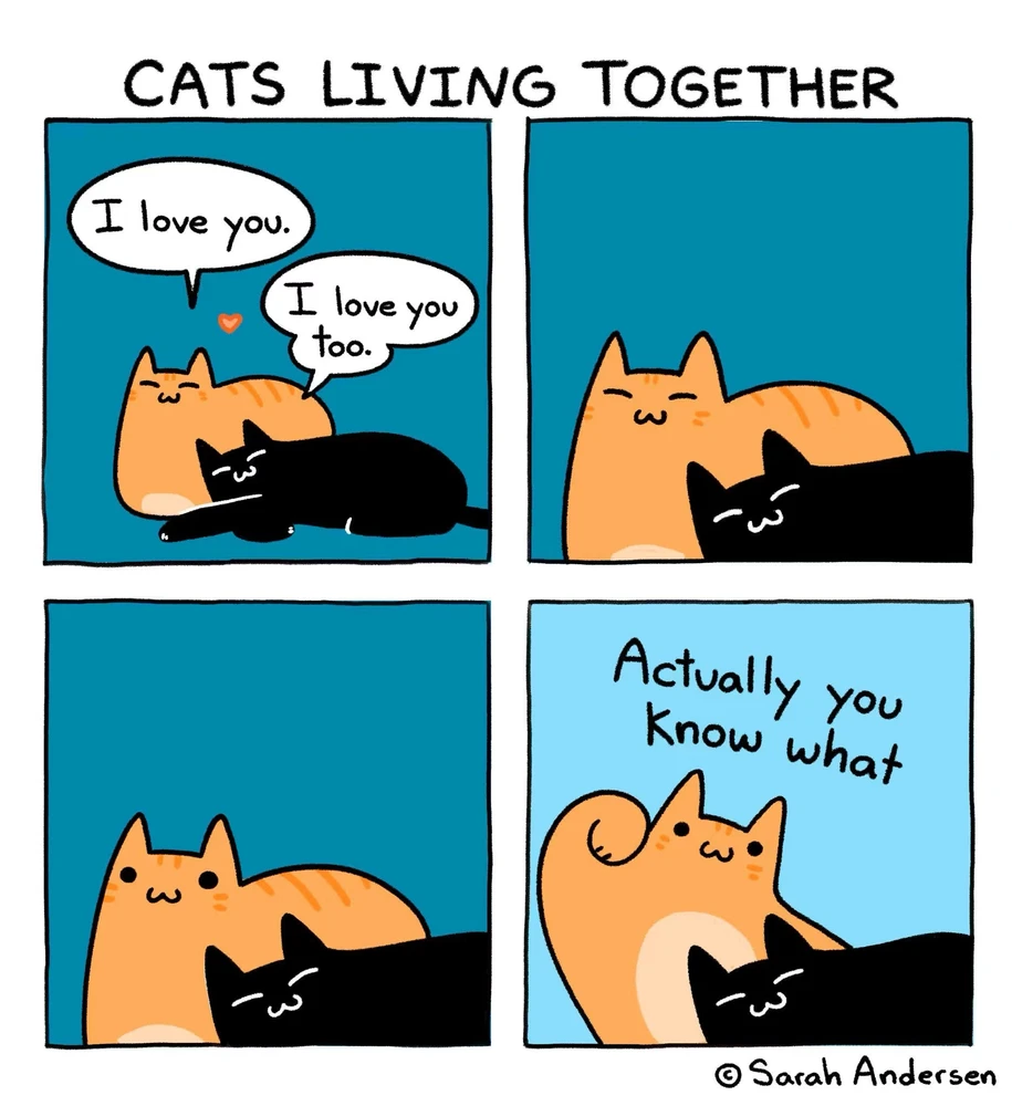 GIF uploaded by Joe