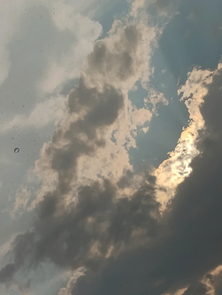 Alex 上傳的 GIF