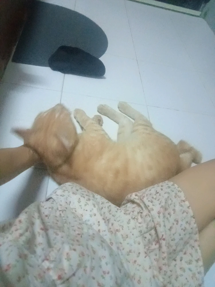 GIF gi-upload ni Arty