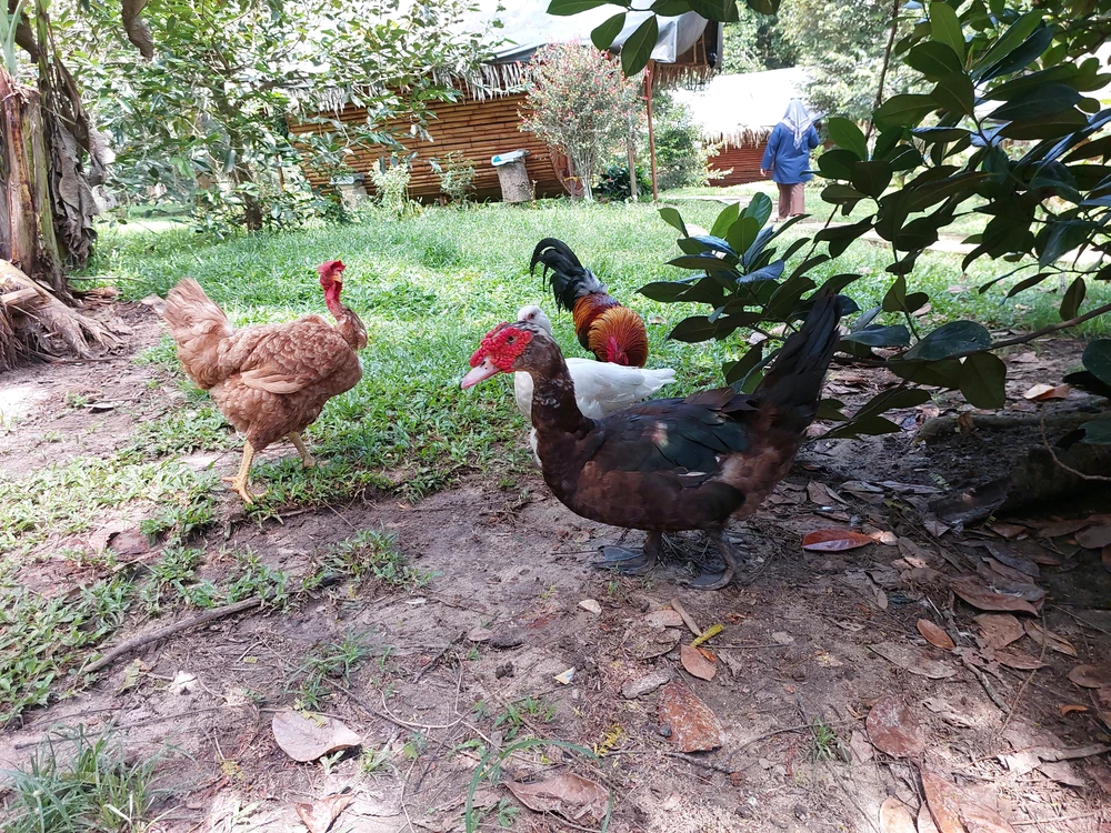 Image uploaded by Shikin