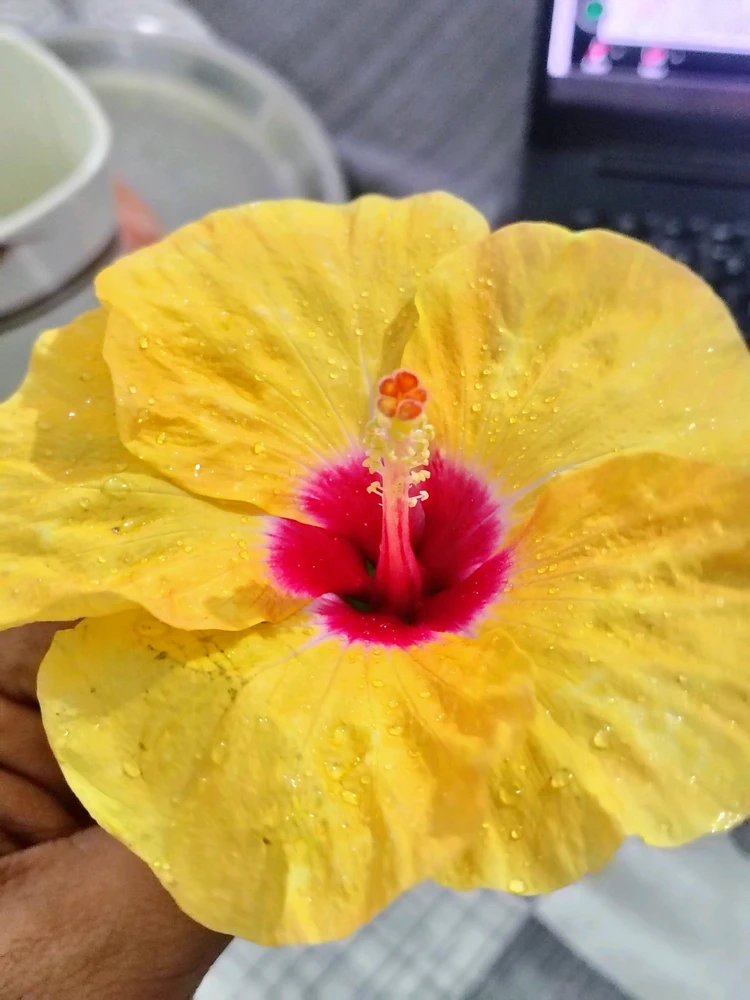GIF gi-upload ni Anshul