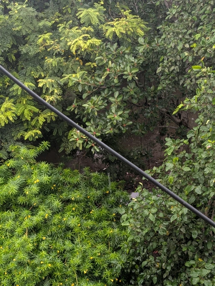 Syed上传的GIF