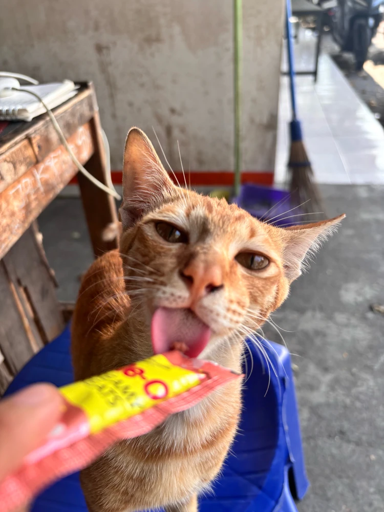 I-upload ni Vivi ang larawan
