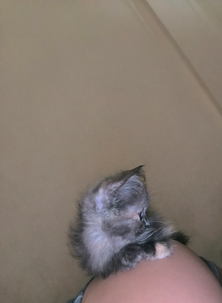 GIF na in-upload ni Chi Hiro