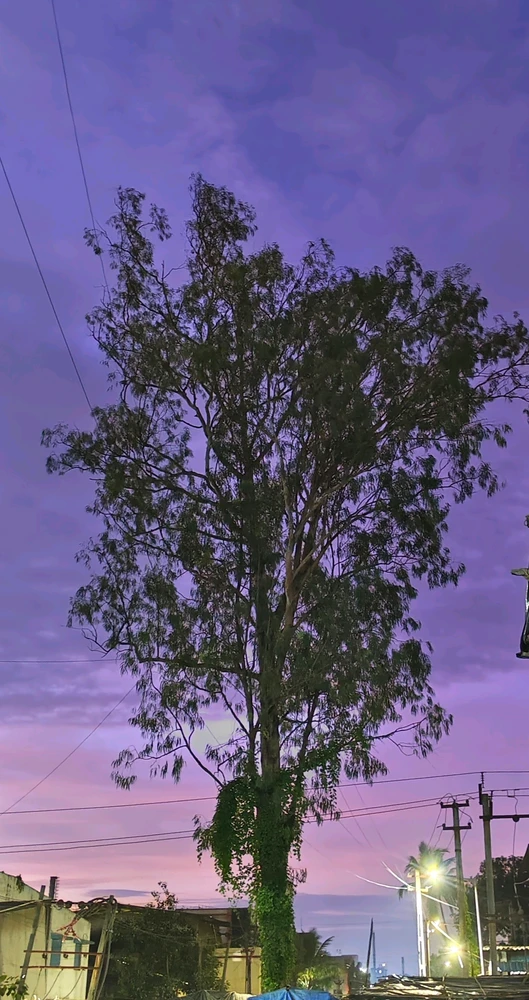 GIF uploaded by ABD