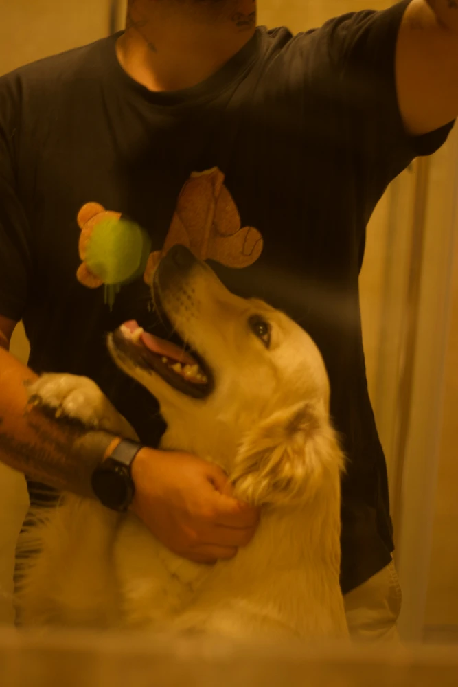 GIF uploaded by Remigijus