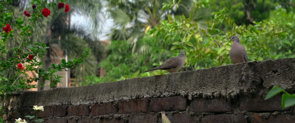 GIF gi-upload ni Shubham Maverick