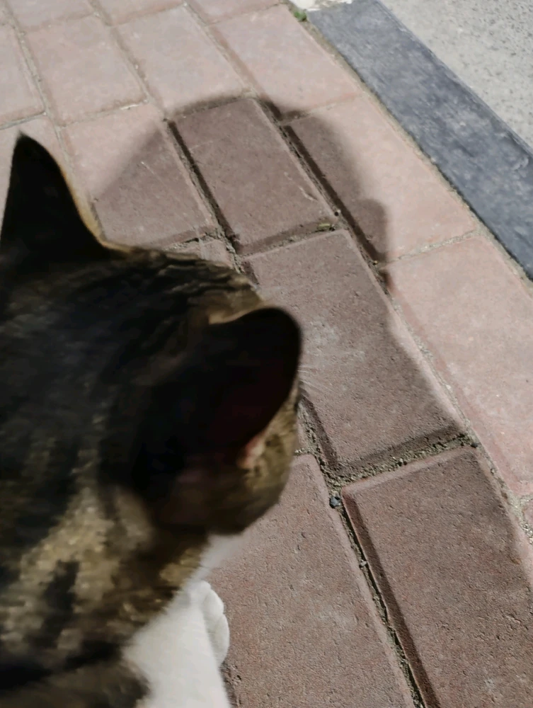 GIF uploaded by Ly