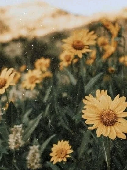 Gi-upload ni ꨄ𝐃ꨄ ang hulagway
