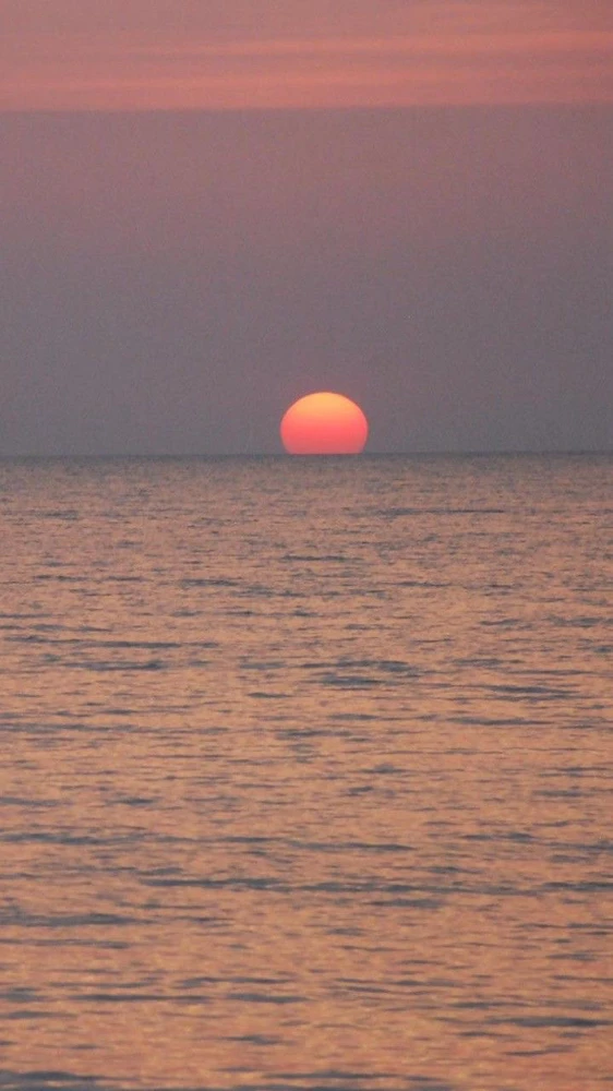 Deljin上传的GIF