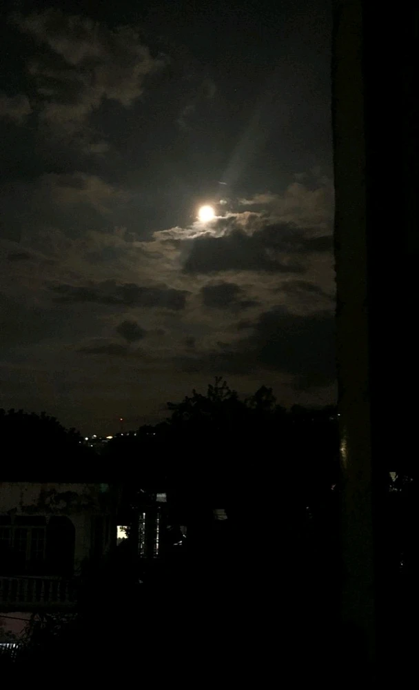 Mona上传的GIF