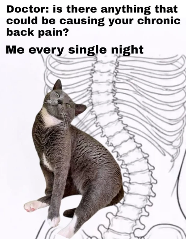 GIF uploaded by Benjiggity