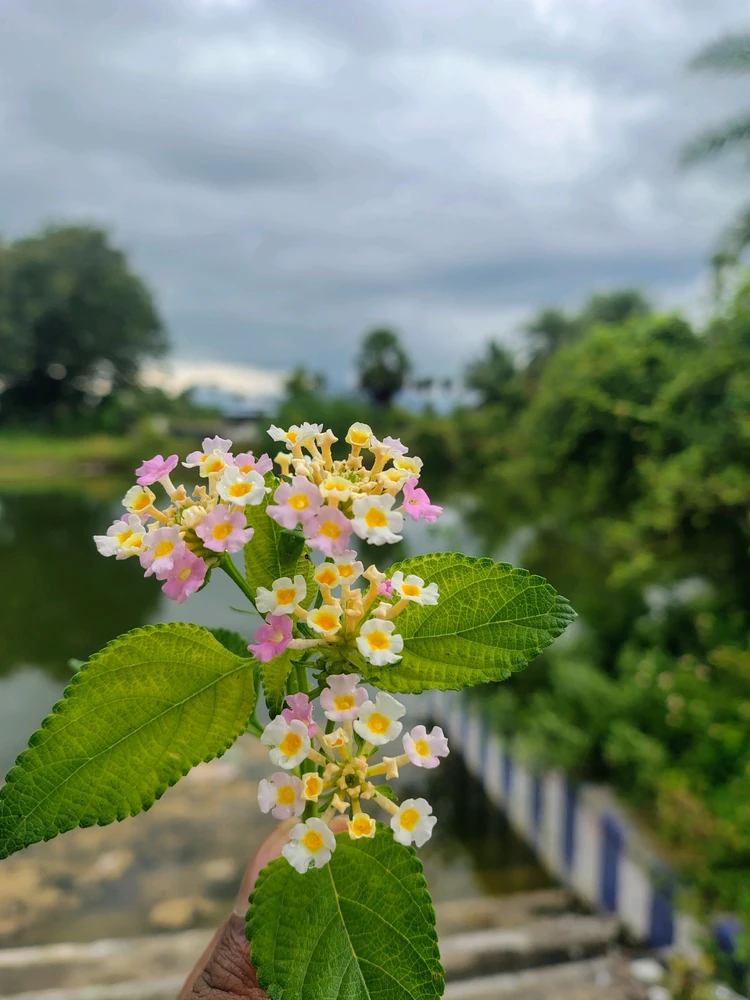 GIF yashyizweho na Praveen