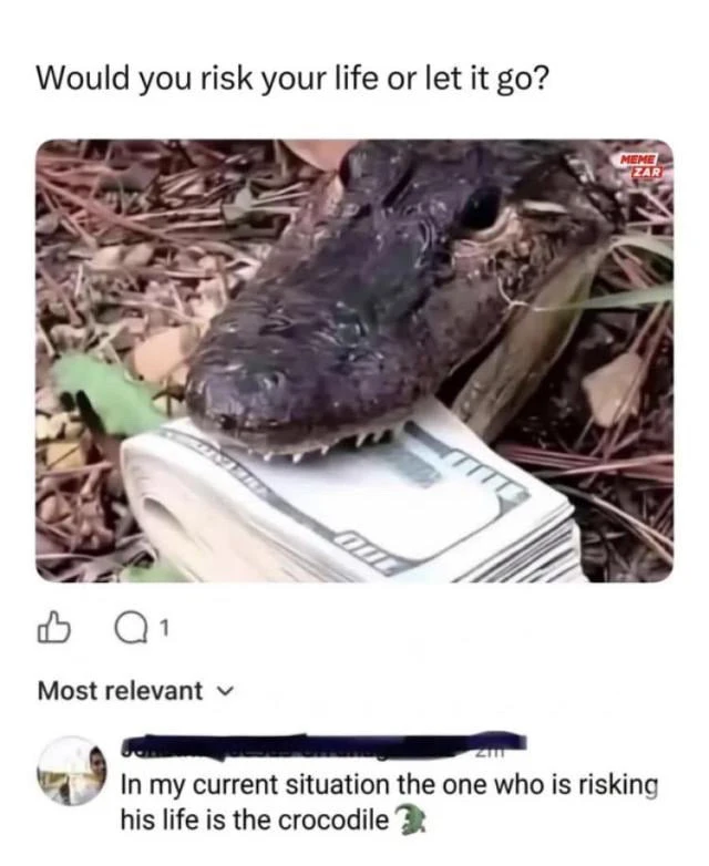 GIF uploaded by Barry