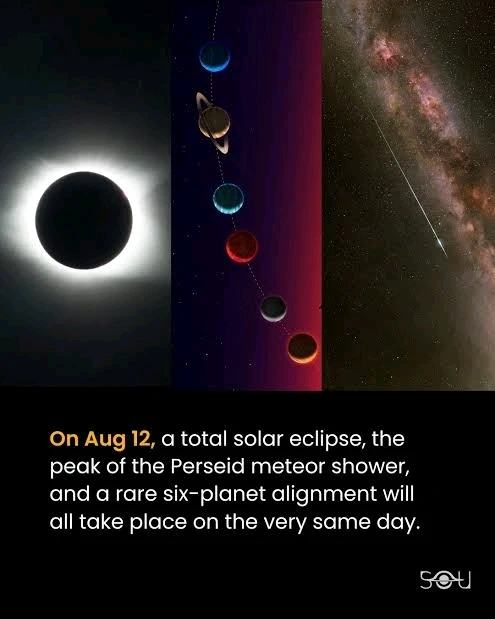 GIF na in-upload ni Moon