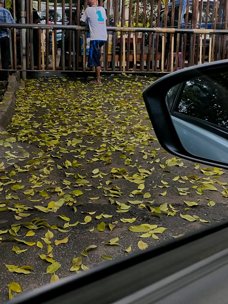 Tita上传的GIF