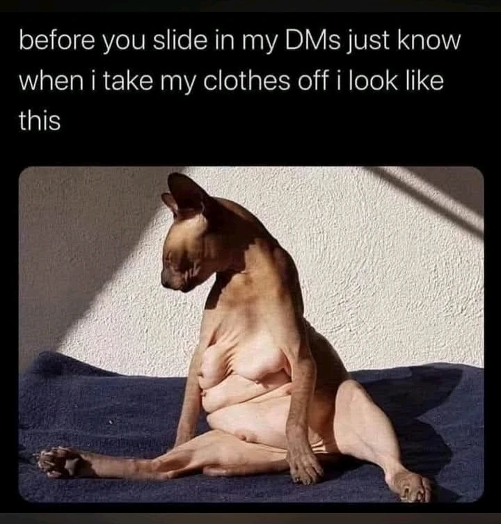 Brandee (Beebee) йөкләгән GIF