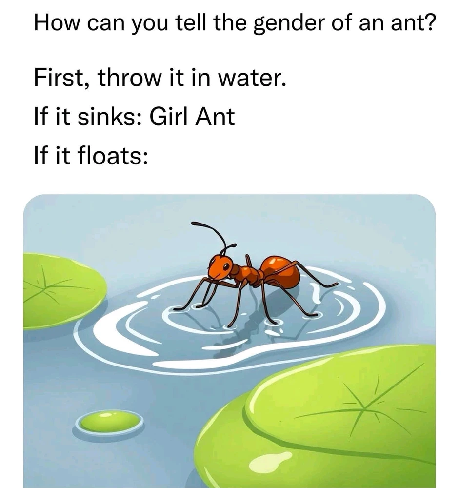 GIF nahral Kandace