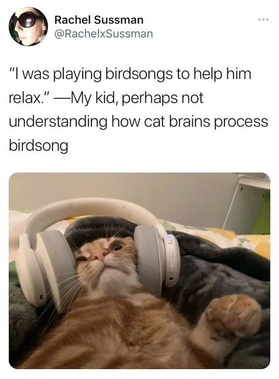 J is for Jaxy жүктөгөн GIF