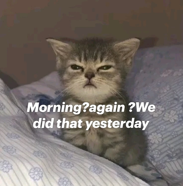 GIF na in-upload ni Alice