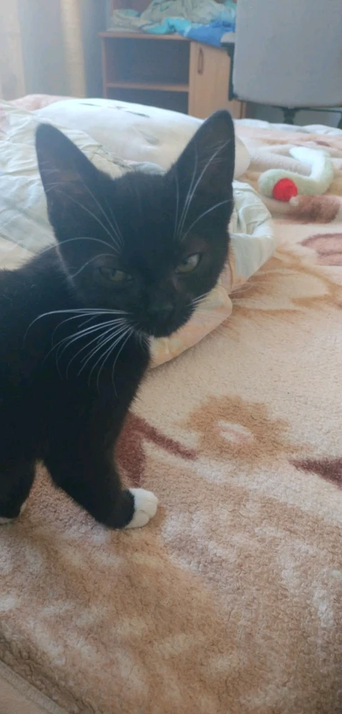 GIF uploaded by Martyna