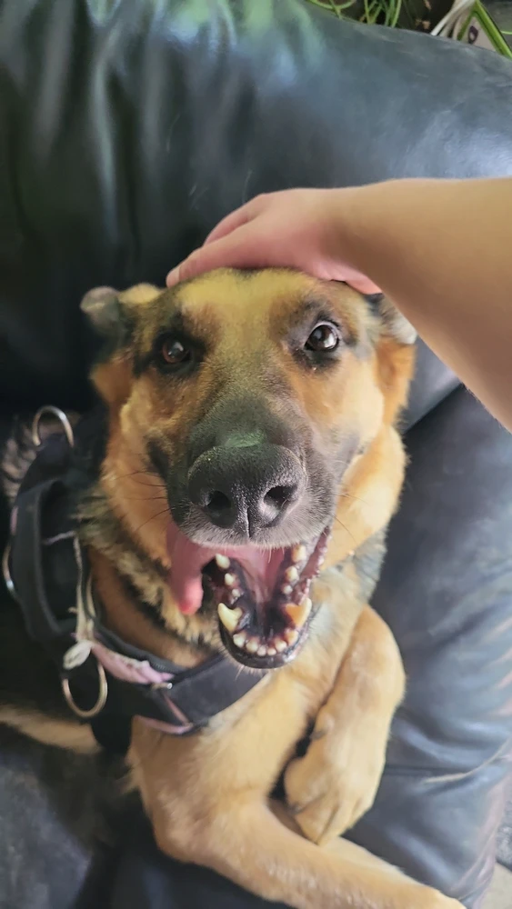 GIF įkėlė Jax