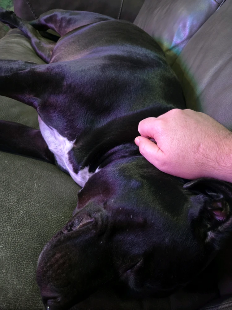 GIF įkėlė Ofi