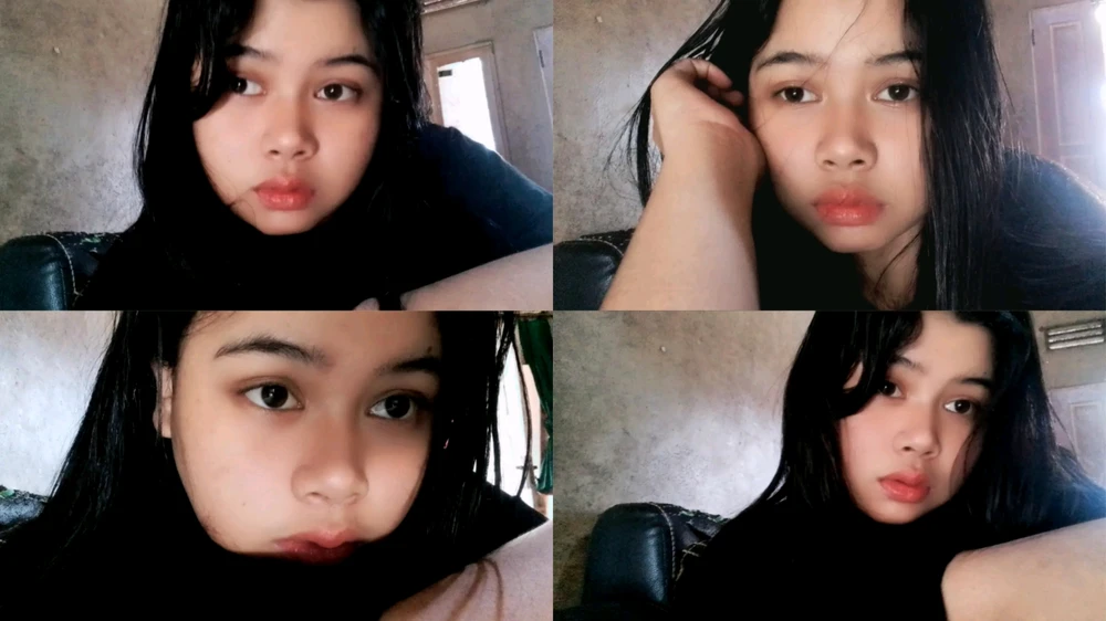 Camelia上传的GIF