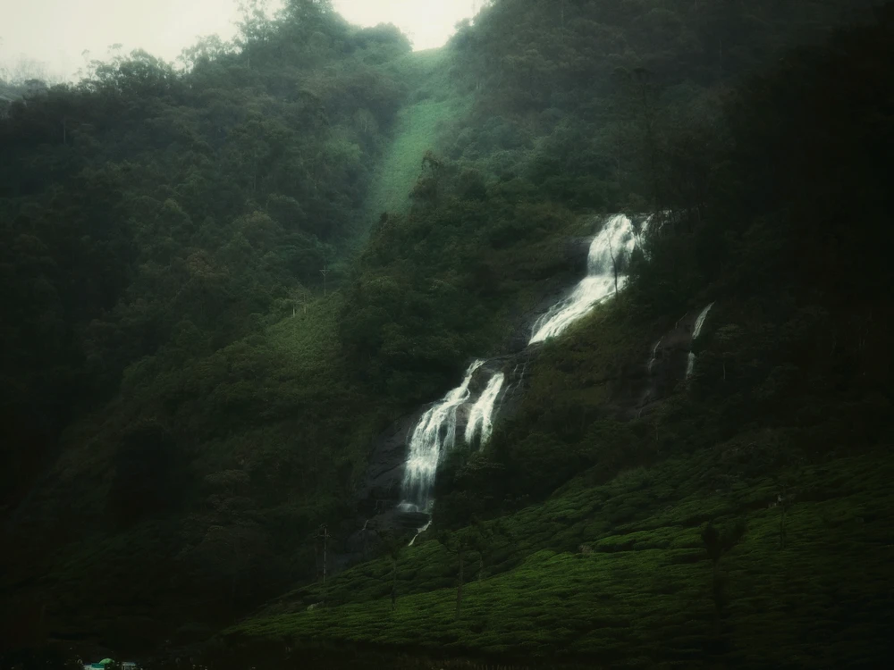 GIF diunggah ku Juraij