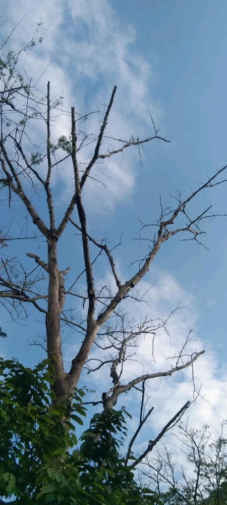 GIF gi-upload ni Lia Yuniar