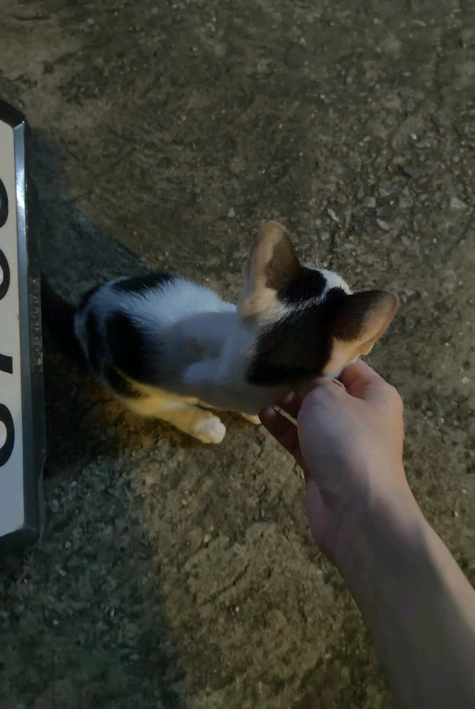 new tarafından yüklenen GIF