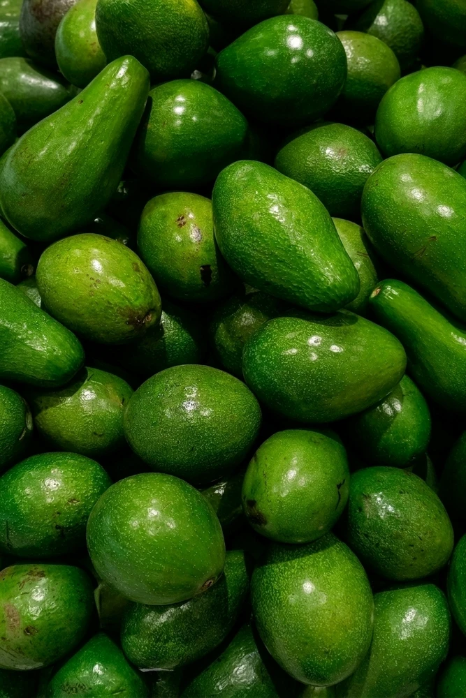 ꨄ𝐃ꨄ 上傳的 GIF