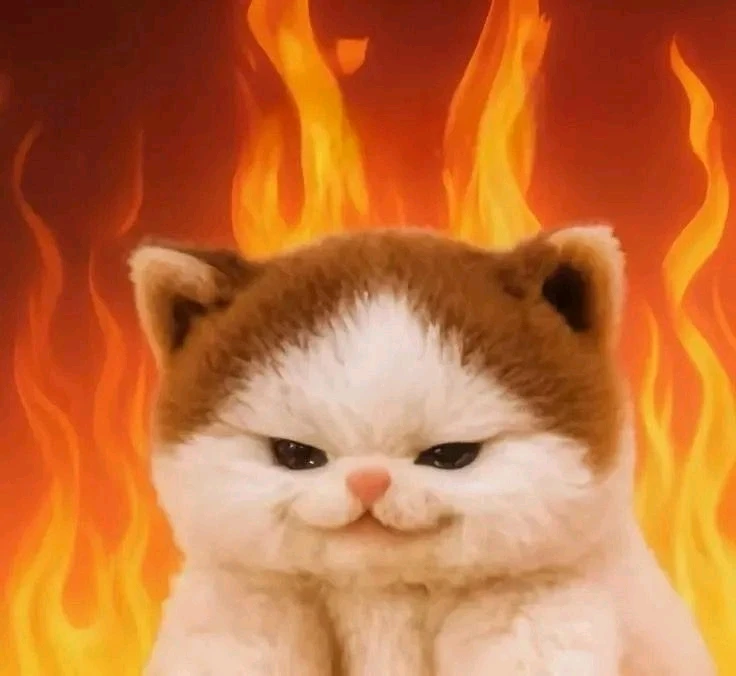 ꨄ𝐃ꨄ 上傳的 GIF