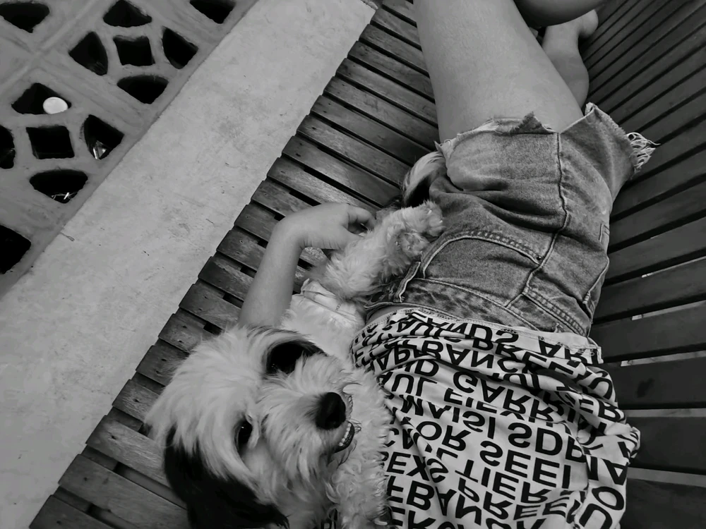 GIF imtella' minn Yana
