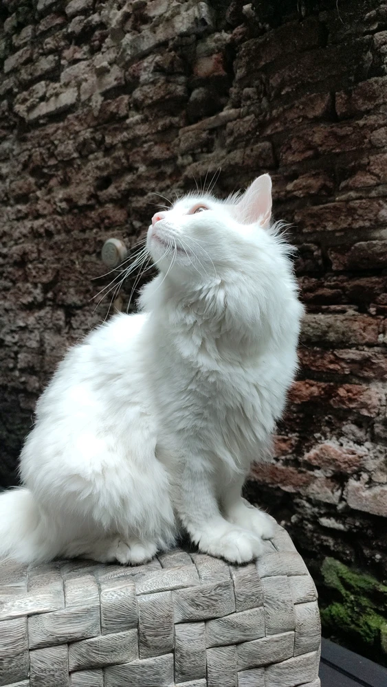 GIF hochgeladen von ꨄ𝐃ꨄ