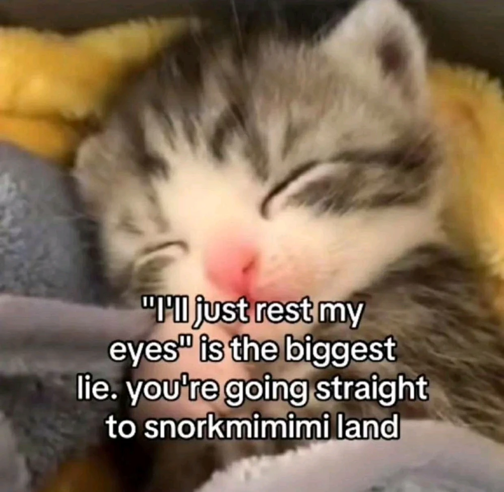GIF učitao/la SunloverKitty