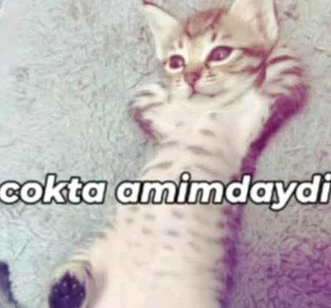GIF tso los ntawm diavolo