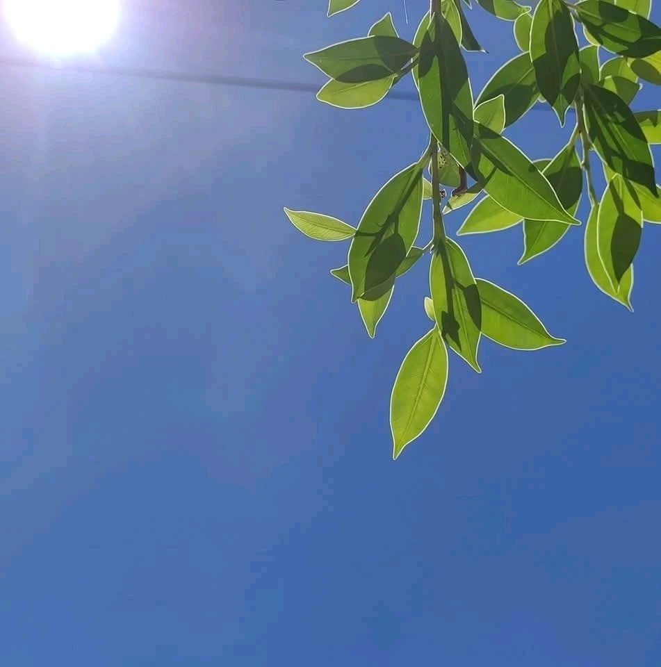 Nookkun tarafından yüklenen GIF