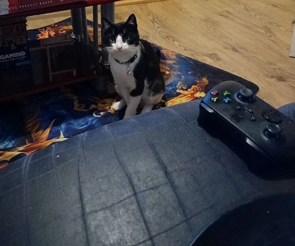 GIF įkėlė Saff