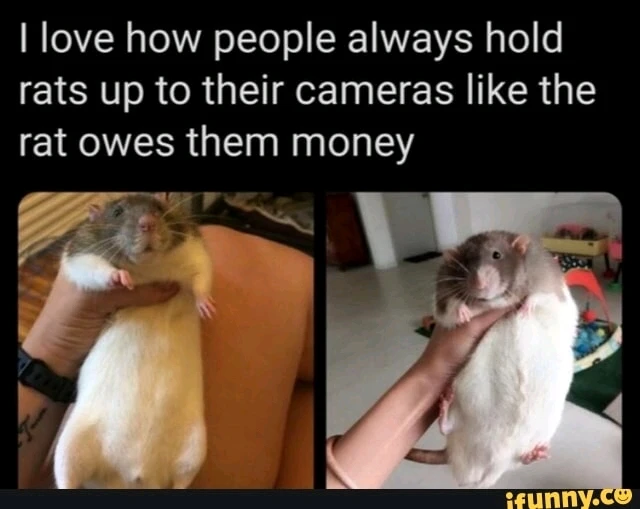 GIF na in-upload ni Jan