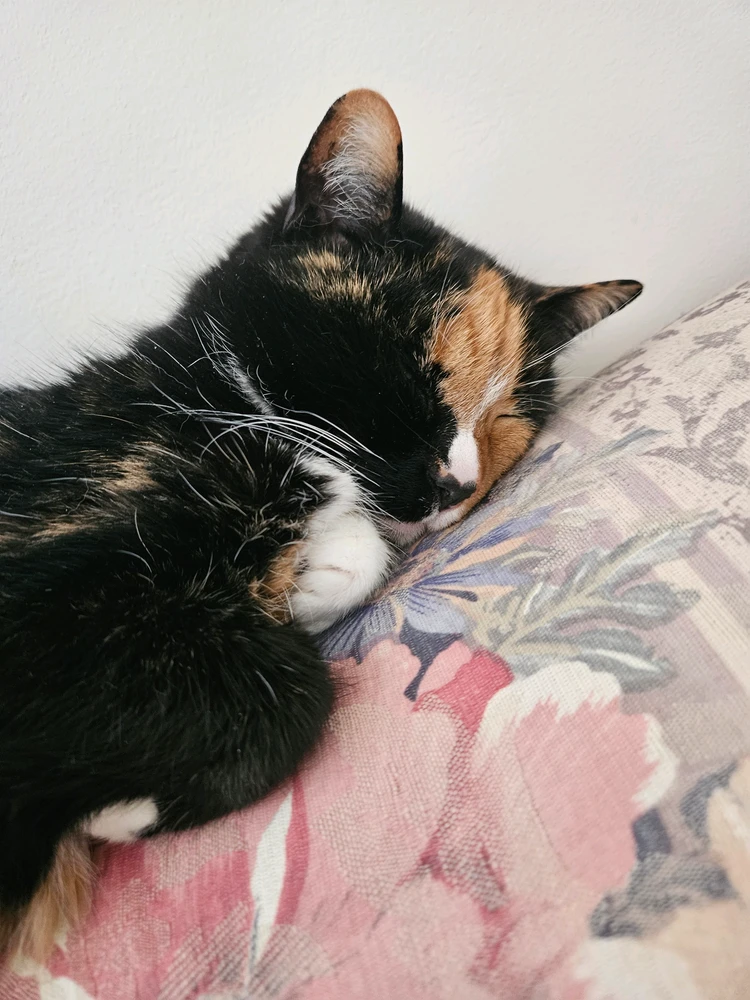 GIF uploadet af Becca