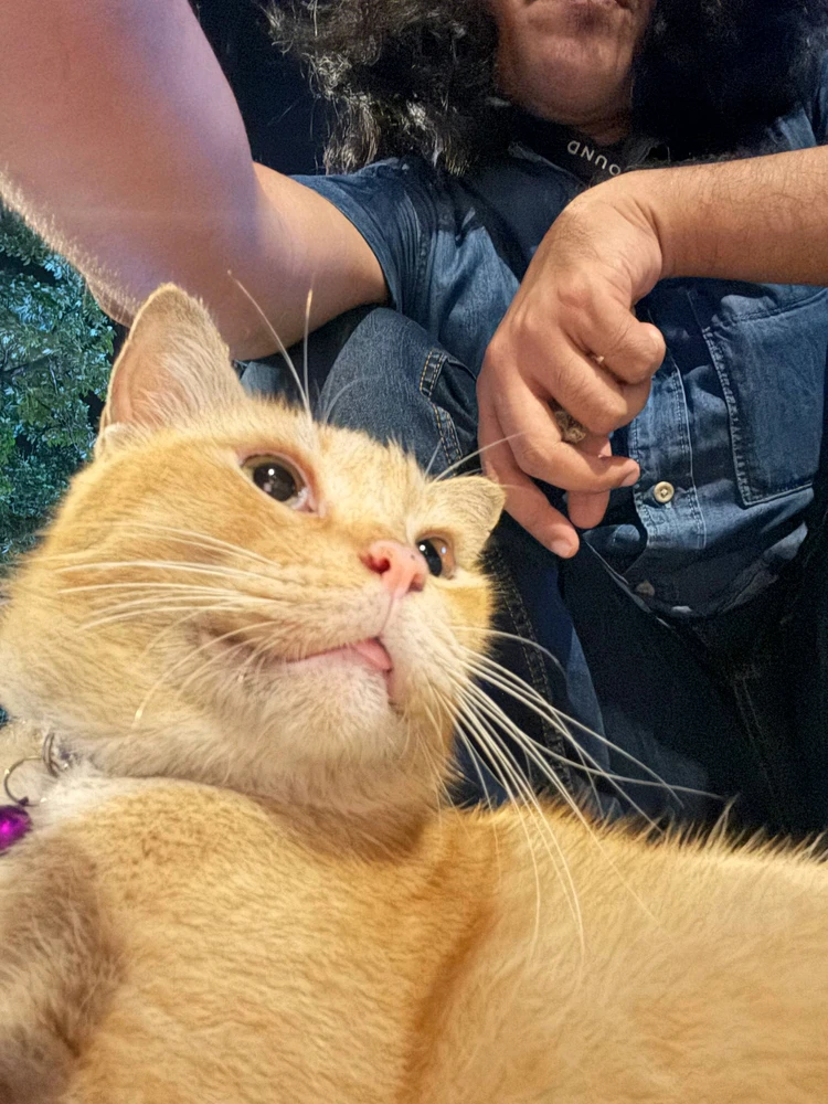 KliffがアップロードしたGIF